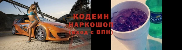 гашик Новодвинск