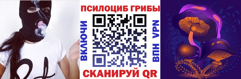 Псилоцибиновые грибы Cubensis  Новоаннинский 